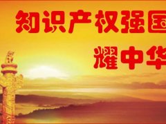 《2020年深入实施国家知识产权战略加快建设知识产权强国推进计划》