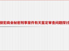 <b>侵犯商业秘密刑事案件有关鉴定审查问题探讨</b>